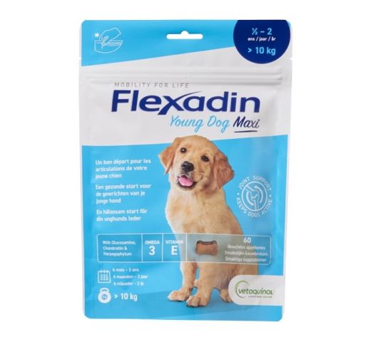 Flexadin Young Dog Maxi-Chew 60 - 25929 1 - 9801952