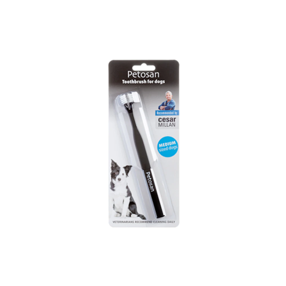 Tandenborstel Petosan twin head Medium - Product petosan tandenborstel twinhead none 4 1464684403 69396 jpg - 9805865