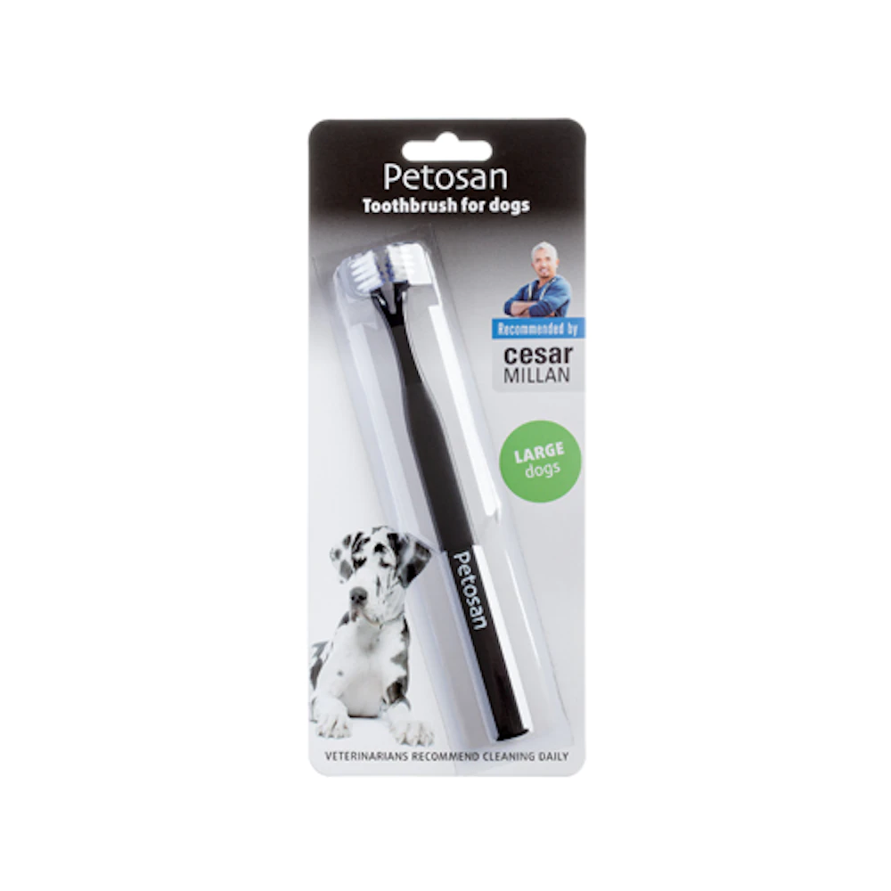 Tandenborstel Petosan twin head Large - Product petosan tandenborstel twinhead none 4 1464684404 69399 jpg - 9805864