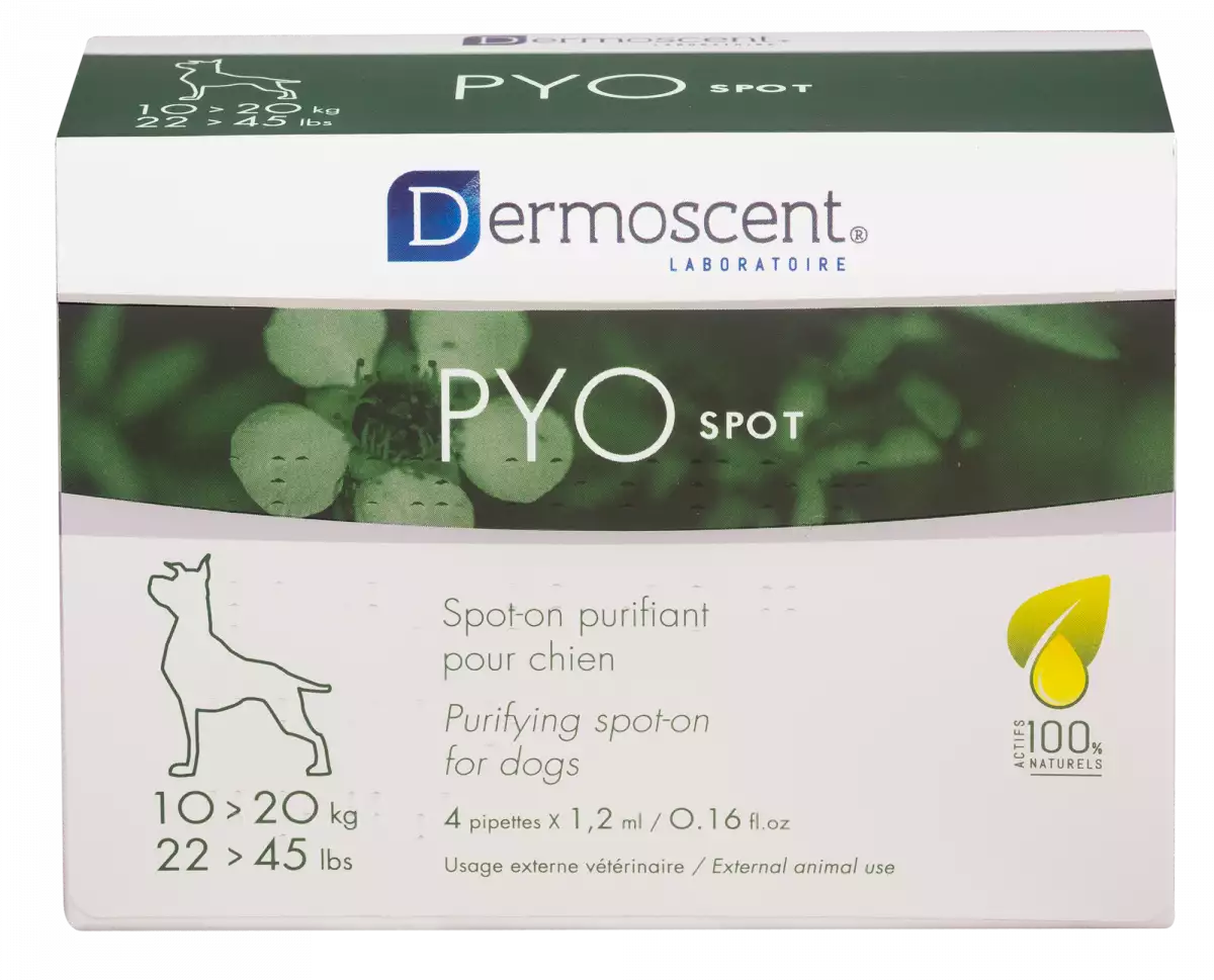 Dermoscent PYOspot hond spot-on 10-20 kg 4 pipetten - Pyospot 10 20kg sans reflet hd 600x600 2x - 9804544