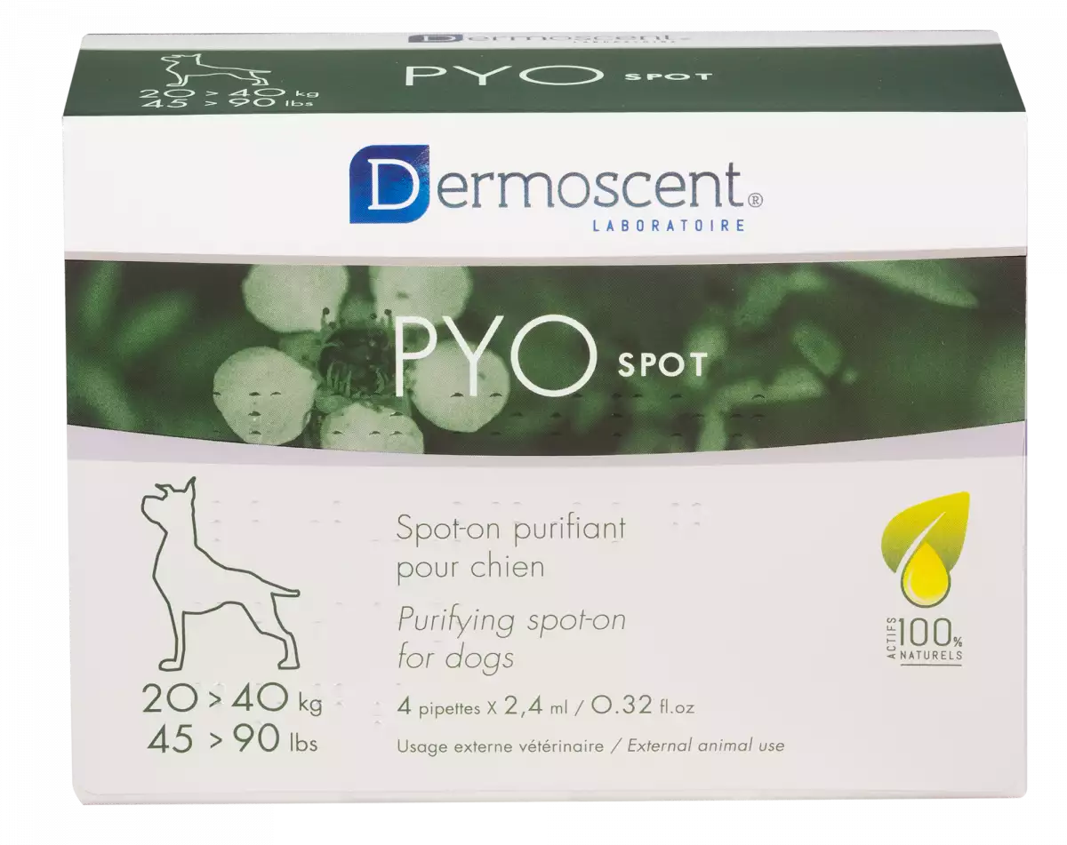 Dermoscent PYOspot hond spot-on 20-40 kg 4 pipetten - Pyospot 20 40kg sans reflet hd 600x600 2x - 9803796
