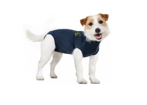 Medical Pet Shirt Hond - XS, Blauw - Xc 9808643 1 - 9808643