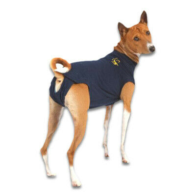 Medical Pet Shirt Hond - S, Blauw - Xc 9808644 1 - 9808644