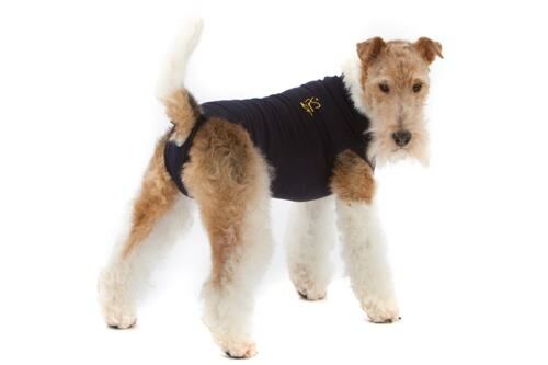 Medical Pet Shirt Hond - M, Blauw - Xc 9808646 1 - 9808646