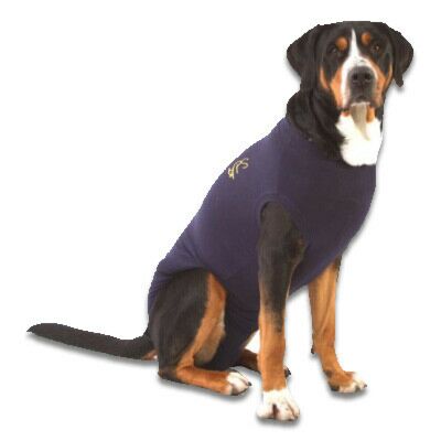Medical Pet Shirt Hond - L, Blauw - Xc 9808649 1 - 9808648