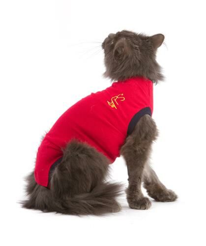 Medical Pet Shirt Kat - 4XS, Rood - Xc 9808651 1 - 9808651