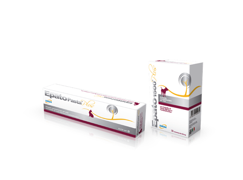 Epato plus pasta 2 x 15 ml - Xc 9818111 - 9818111