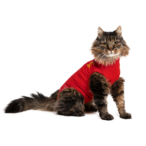 Medical Pet Shirt Kat - XS, Rood - Xc 9823005 1 - 9808654